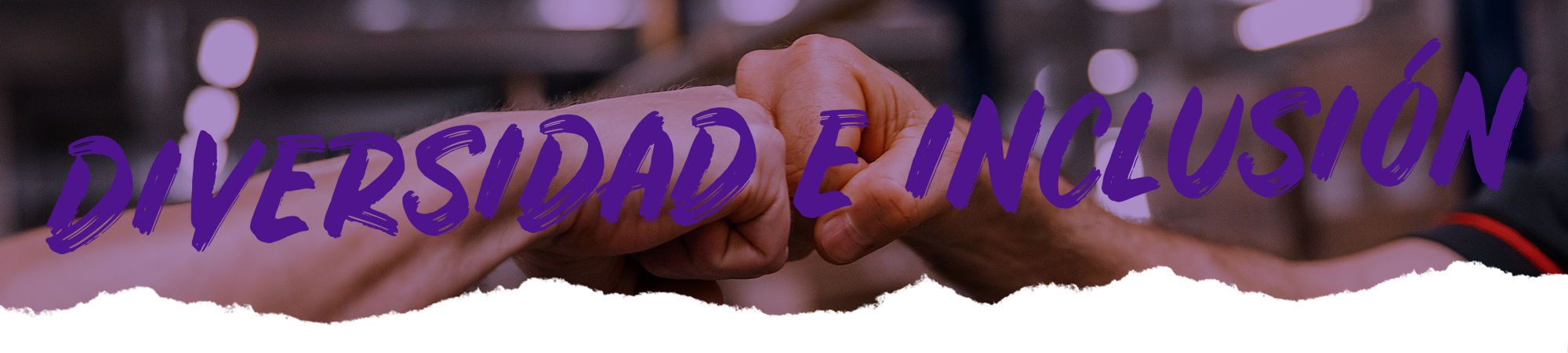 Diversidad e inclusion
