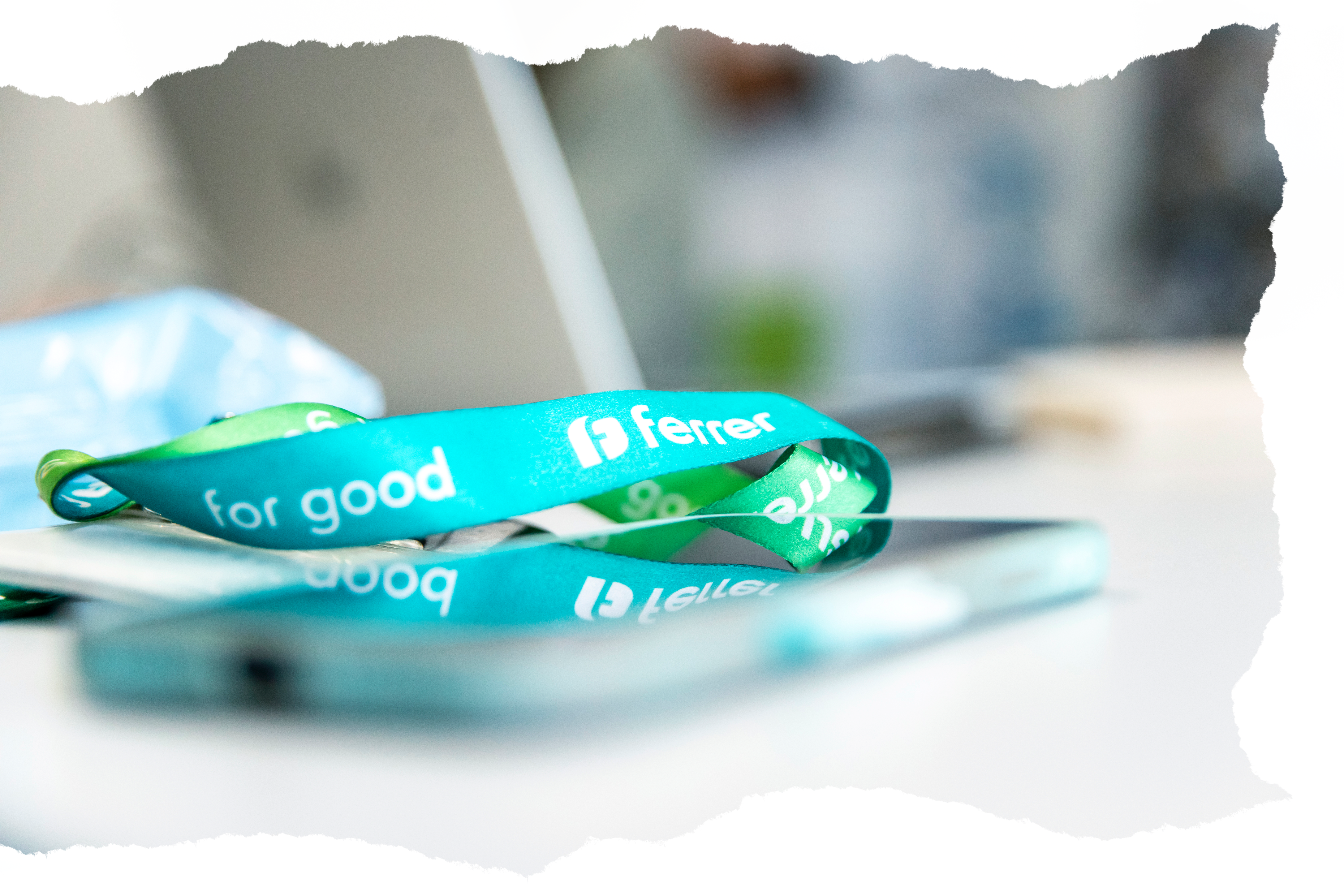 Gestion Riesgos Ferrer