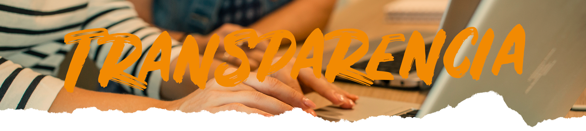 Transparencia