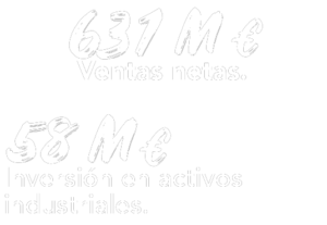 Nuestra Actividad